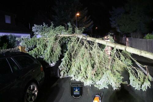 220217 Baum auf Auto Oberasbach 002