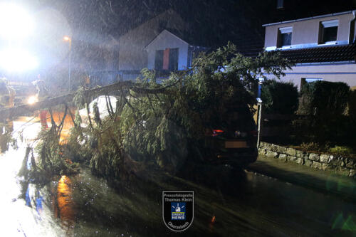 220217 Baum auf Auto Oberasbach 003