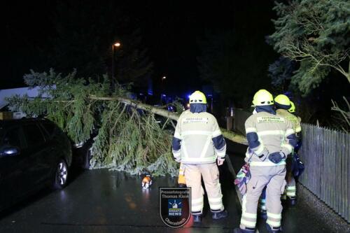 220217 Baum auf Auto Oberasbach 005