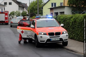 IMG 4094