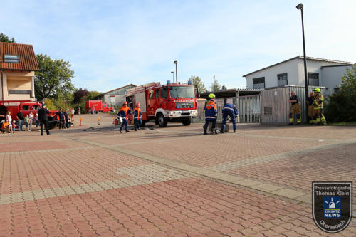 IMG 9062