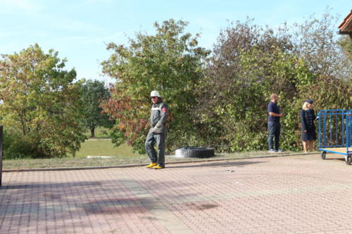 IMG 8960