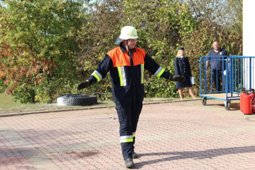 IMG 8979