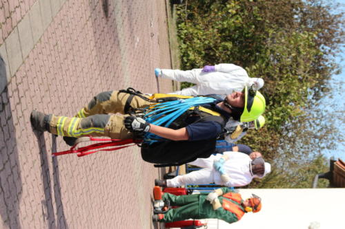 IMG 9025